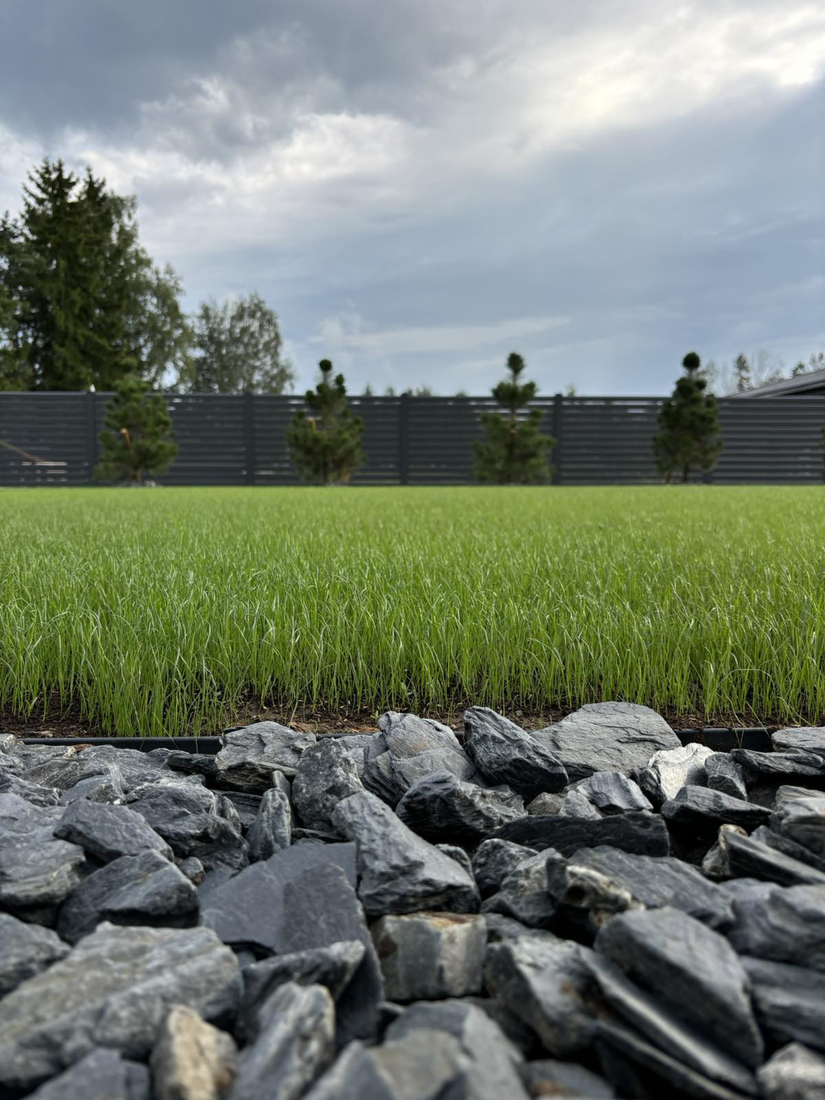 Norint turėti gražią veja