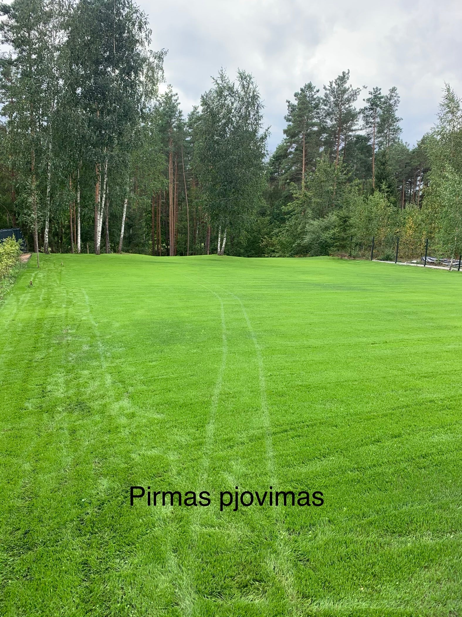 Mobile image