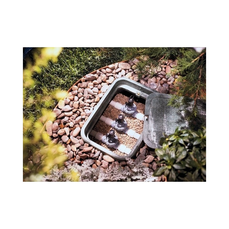 Kolektorinė dėžė STANDARD